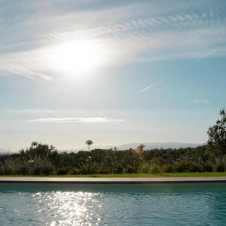Glamping Suite Il Grillo Lamporecchio Dış mekan fotoğraf
